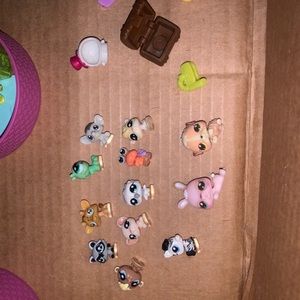 lps mini listing